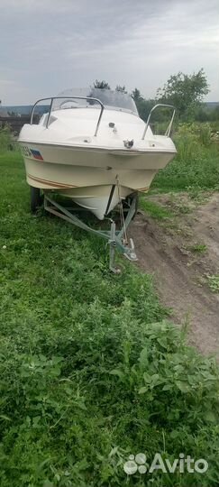 Катера и яхты