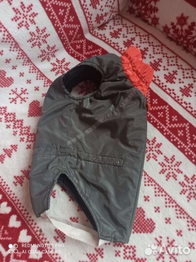 Одежда для маленьких собак