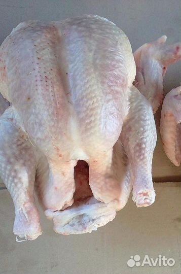 Тушка индейки
