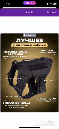 Амуниция для собак