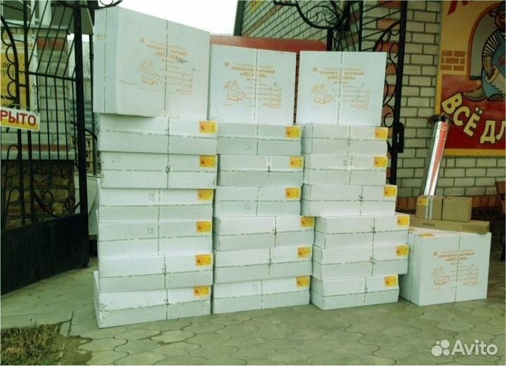 Инкубатор для яиц