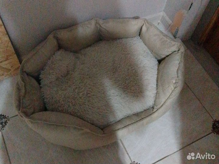 Кровать для собаки