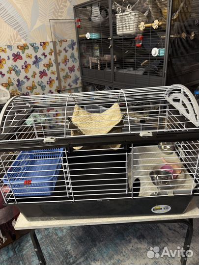 Клетка для грызунов ferplast Casita 80 78x48x50см