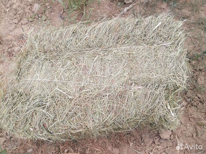 Сено в тюках