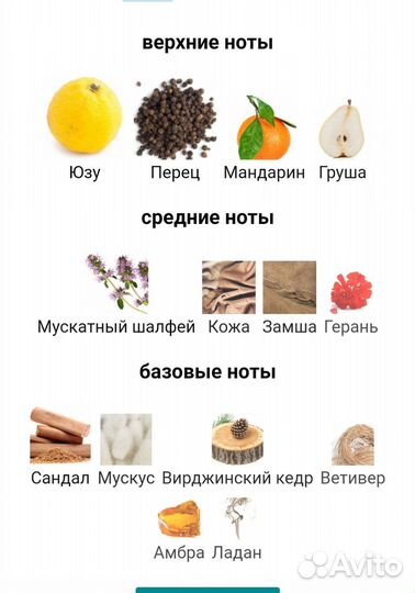 Мужская yohji yamamoto оригинал