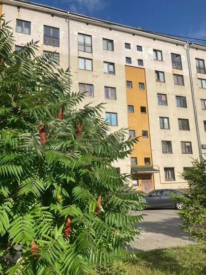 2-к. квартира, 54,3 м², 2/6 эт.