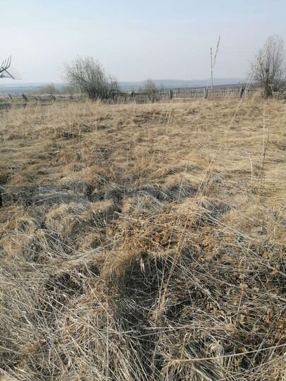 Дом 40 м² на участке 22 сот.