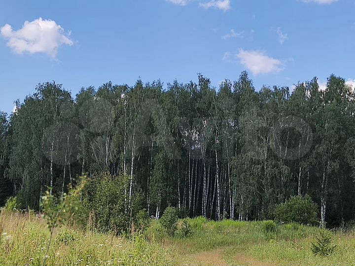 Участок 64,1 сот. (СНТ, ДНП)