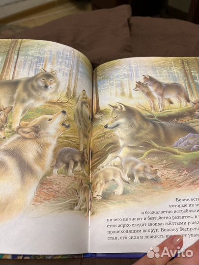 Книга для детей