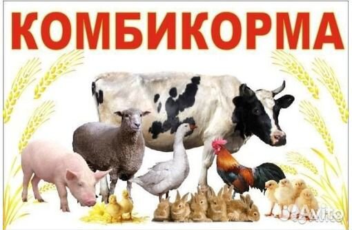 Комбикорм в мешках.Премикс