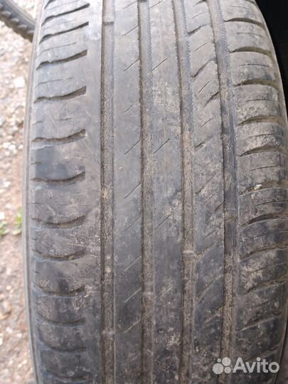 Nordman WR 205/65 R15