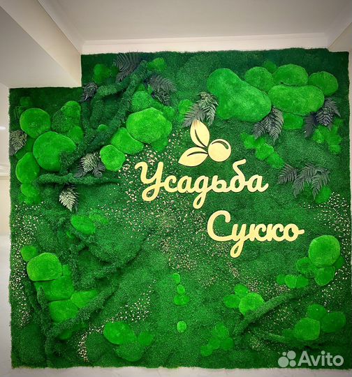 Стабилизированный Мох.Озеленение.Фитостена. Ягель