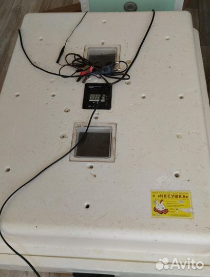 Инкубатор для яиц