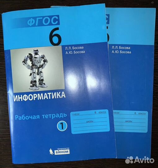 Рабочая тетрадь по информатике за 6 класс, 2 части