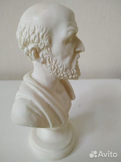 Гипсовый бюст Гиппократа