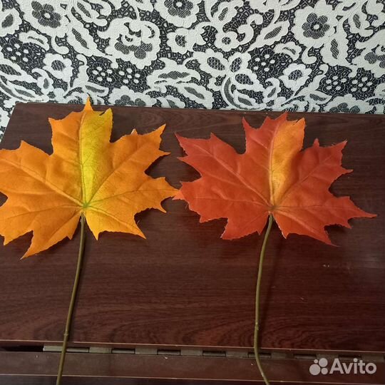 Листья кленовые