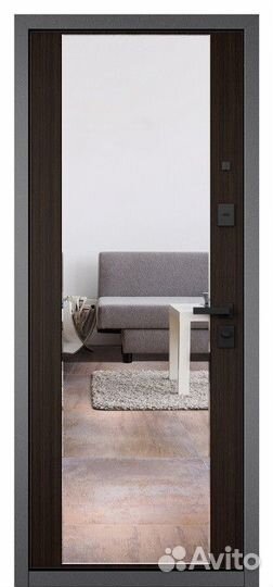 Металлические двери с зеркалом