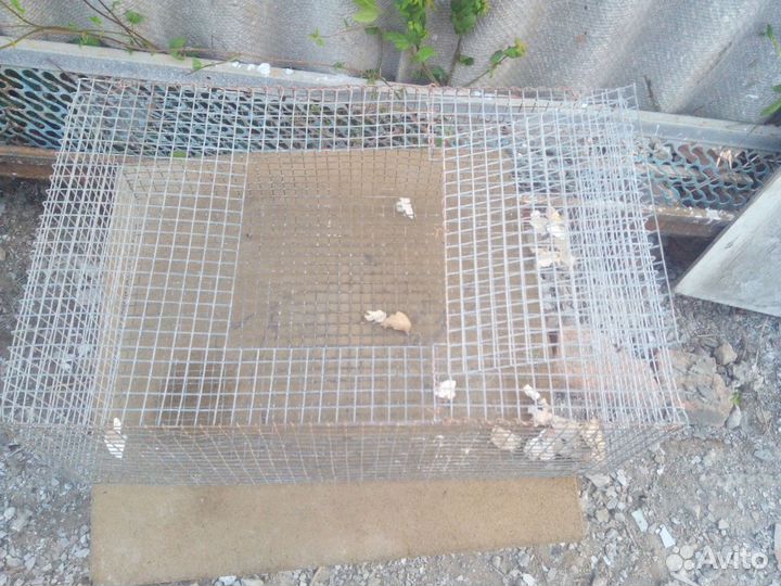 Различные клетки -переноски для птиц и грызунов