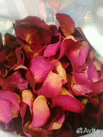 Лепестки роз