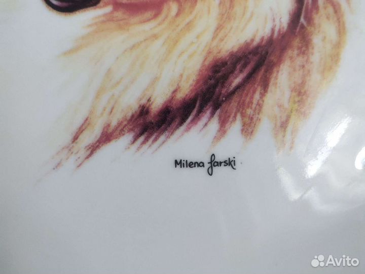 Тарелка настенная винтаж Вербилки