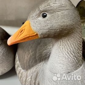 Posts posted by Flock Decoys