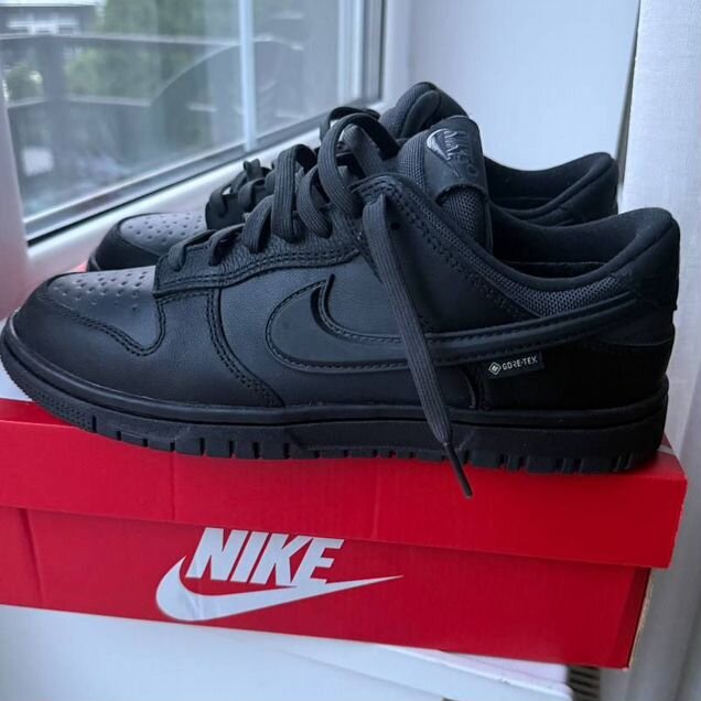 Кроссовки nike dunk gore-tex