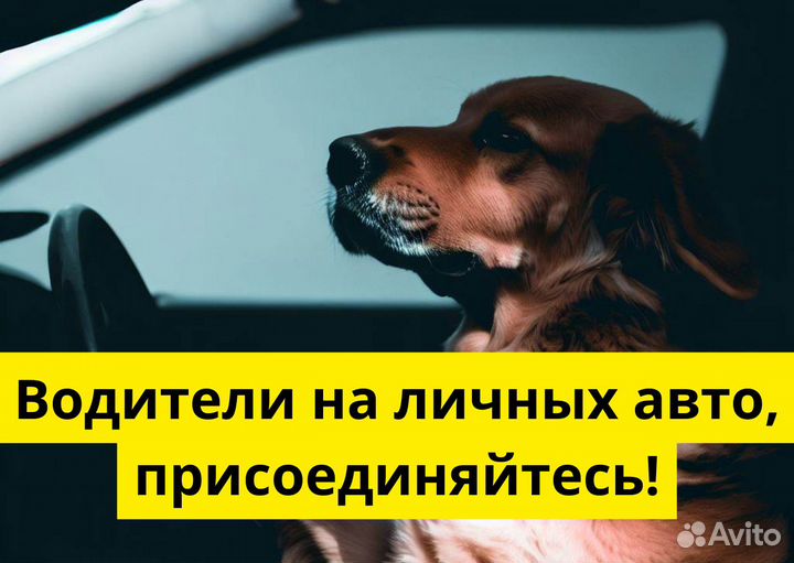 Подработка на своем авто в Яндкс GO
