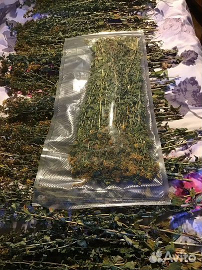 Зверобой продырявленный в упаковке