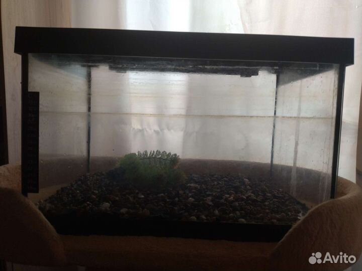 Аквариум акваэль