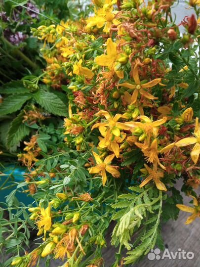 Яблочное повидло Паслёновое варенье Фиточай