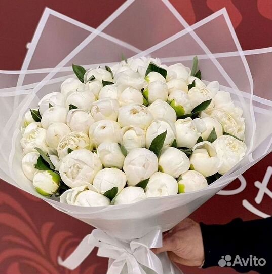 Пионы Букет пионов