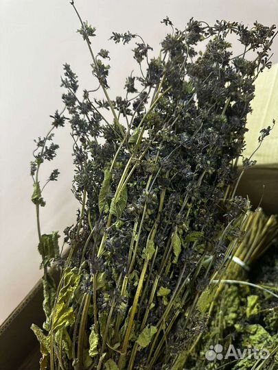 Шалфей в пучках
