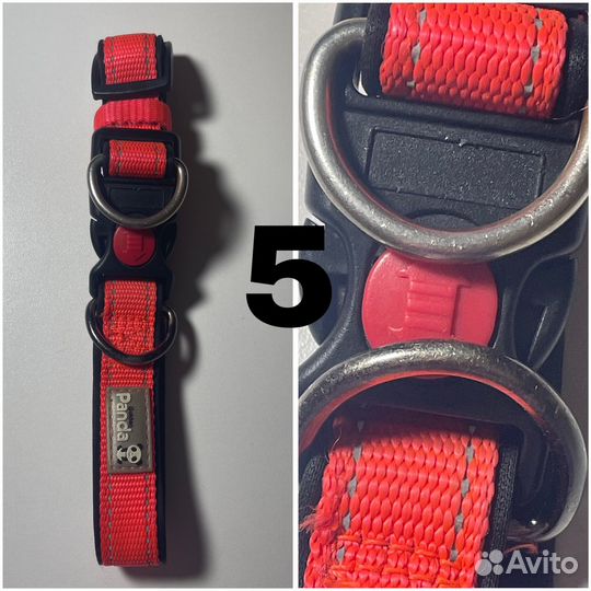 Амуниция для собак(ошейники, поводки)