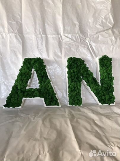 Логотип из стабилизированного мха(натуральный мох)