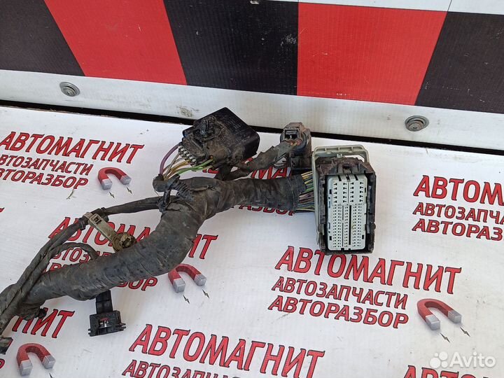 Проводка двигателя двс Форд Мустанг 6 2.3