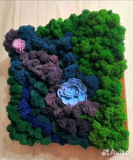 Панно Стабилизированный мох Картина Подарок