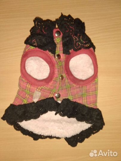 Одежда для собак