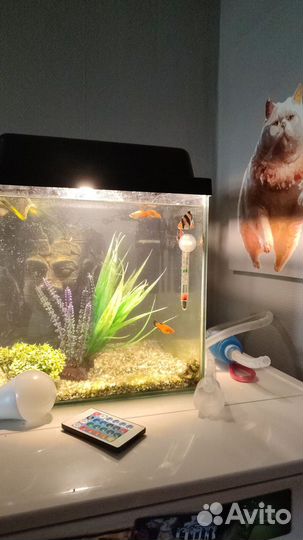 Аквариум 30 литров