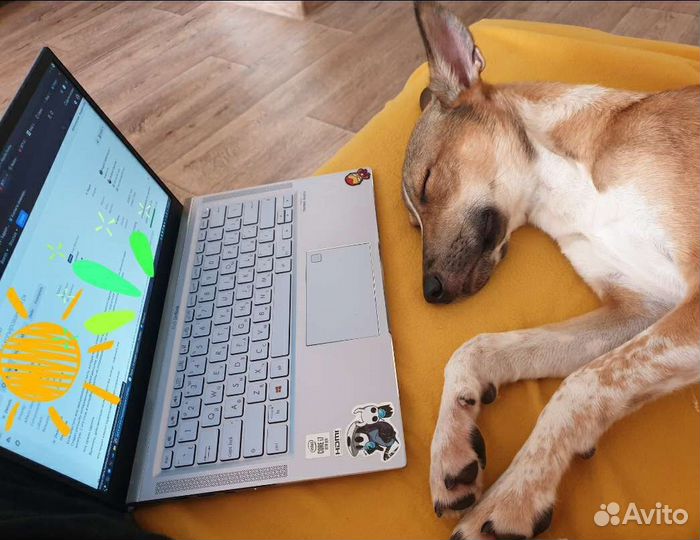 Ультрабук Asus zenbook ux431fa