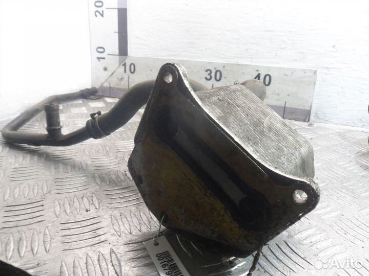 Б/У Радиатор масляный 8201003808B, nissan