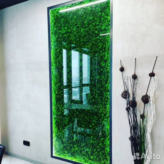 Фитостены из стабилизированого мха