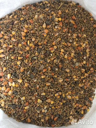 Корма для сельскохозяйственных животных