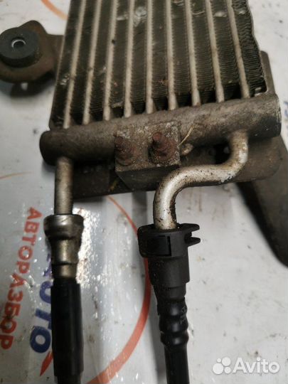 Радиатор топливный Opel Antara 2.2 дизель Z22D1