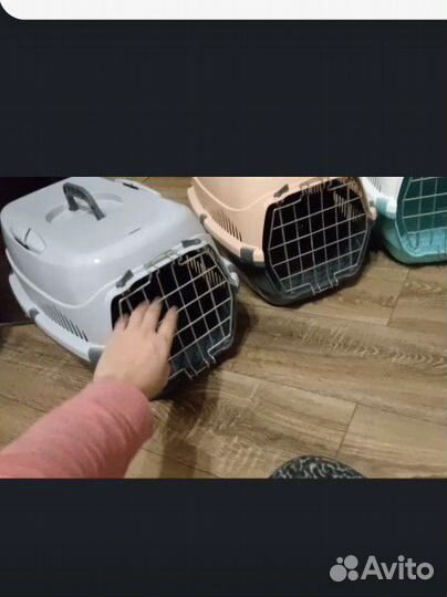 Переноска для кошек