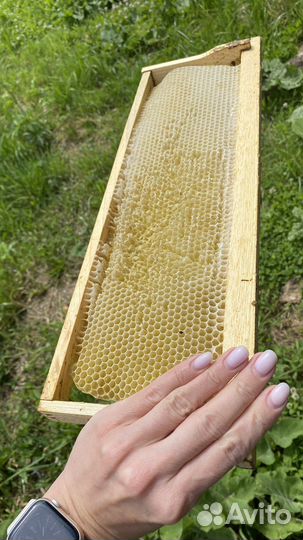 Сушь магазинная