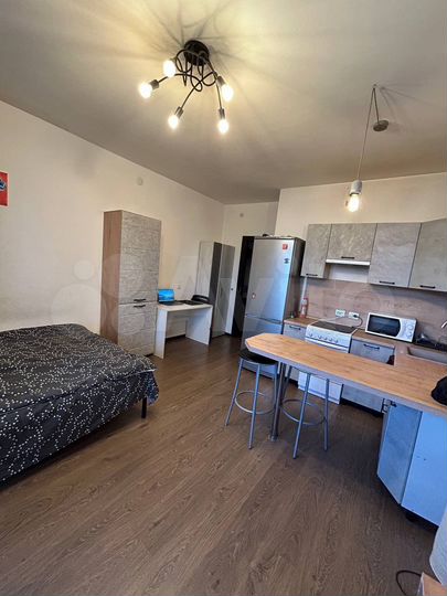 Квартира-студия, 25,5 м², 16/17 эт.