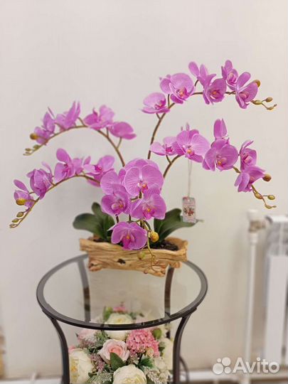 Орхидеи