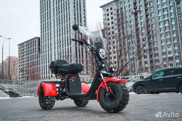 White siberia PRO trike 3000W ultra