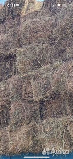 Сено в тюках