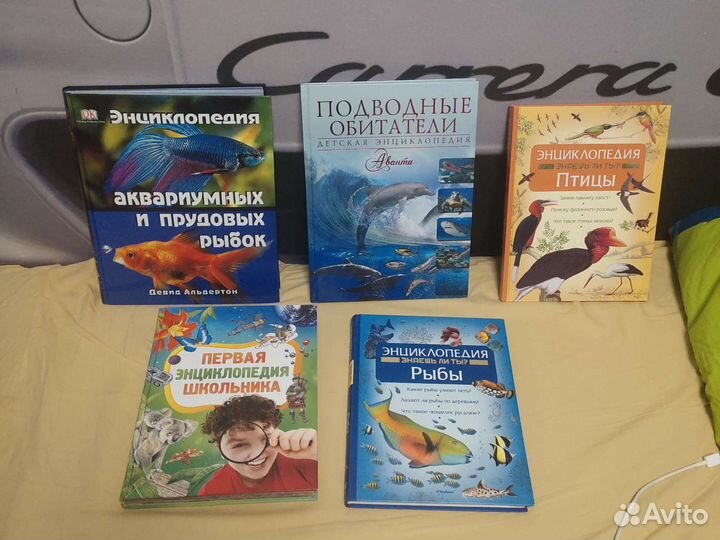 Энциклопедия для детей